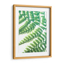 Fern Glow Ii - Jason Johnson | Cuadro decorativo de Canvas Lab