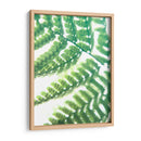 Fern Glow Ii - Jason Johnson | Cuadro decorativo de Canvas Lab