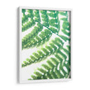 Fern Glow Ii - Jason Johnson | Cuadro decorativo de Canvas Lab