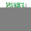 Fern Glow Ii - Jason Johnson | Cuadro decorativo de Canvas Lab