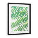 Fern Glow Iii - Jason Johnson | Cuadro decorativo de Canvas Lab