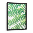 Fern Glow Iii - Jason Johnson | Cuadro decorativo de Canvas Lab