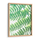 Fern Glow Iii - Jason Johnson | Cuadro decorativo de Canvas Lab