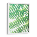 Fern Glow Iii - Jason Johnson | Cuadro decorativo de Canvas Lab