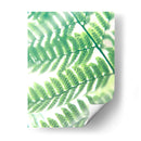 Fern Glow Iii - Jason Johnson | Cuadro decorativo de Canvas Lab