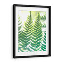 Fern Glow Iv - Jason Johnson | Cuadro decorativo de Canvas Lab