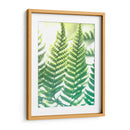 Fern Glow Iv - Jason Johnson | Cuadro decorativo de Canvas Lab
