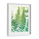 Fern Glow Iv - Jason Johnson | Cuadro decorativo de Canvas Lab