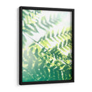 Helecho Resplandor V - Jason Johnson | Cuadro decorativo de Canvas Lab