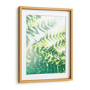 Helecho Resplandor V - Jason Johnson | Cuadro decorativo de Canvas Lab