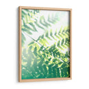 Helecho Resplandor V - Jason Johnson | Cuadro decorativo de Canvas Lab