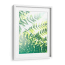 Helecho Resplandor V - Jason Johnson | Cuadro decorativo de Canvas Lab