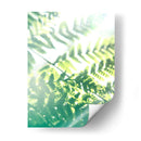 Helecho Resplandor V - Jason Johnson | Cuadro decorativo de Canvas Lab