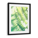 Fern Glow Vi - Jason Johnson | Cuadro decorativo de Canvas Lab