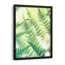 Fern Glow Vi - Jason Johnson | Cuadro decorativo de Canvas Lab