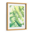 Fern Glow Vi - Jason Johnson | Cuadro decorativo de Canvas Lab