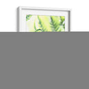 Fern Glow Vi - Jason Johnson | Cuadro decorativo de Canvas Lab