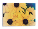 Susans Ii - Jason Johnson | Cuadro decorativo de Canvas Lab