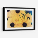Susans Ii - Jason Johnson | Cuadro decorativo de Canvas Lab