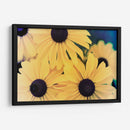 Susans Ii - Jason Johnson | Cuadro decorativo de Canvas Lab