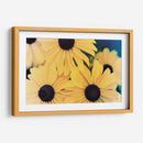 Susans Ii - Jason Johnson | Cuadro decorativo de Canvas Lab