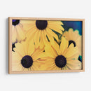 Susans Ii - Jason Johnson | Cuadro decorativo de Canvas Lab