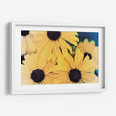 Susans Ii - Jason Johnson | Cuadro decorativo de Canvas Lab