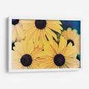 Susans Ii - Jason Johnson | Cuadro decorativo de Canvas Lab