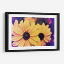 Susans Iii - Jason Johnson | Cuadro decorativo de Canvas Lab