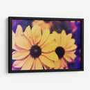 Susans Iii - Jason Johnson | Cuadro decorativo de Canvas Lab