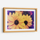 Susans Iii - Jason Johnson | Cuadro decorativo de Canvas Lab