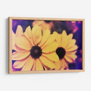 Susans Iii - Jason Johnson | Cuadro decorativo de Canvas Lab