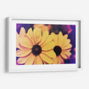Susans Iii - Jason Johnson | Cuadro decorativo de Canvas Lab