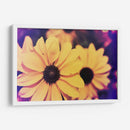 Susans Iii - Jason Johnson | Cuadro decorativo de Canvas Lab