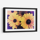 Susans Iv - Jason Johnson | Cuadro decorativo de Canvas Lab