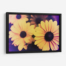 Susans Iv - Jason Johnson | Cuadro decorativo de Canvas Lab