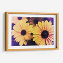 Susans Iv - Jason Johnson | Cuadro decorativo de Canvas Lab