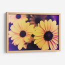 Susans Iv - Jason Johnson | Cuadro decorativo de Canvas Lab
