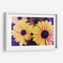 Susans Iv - Jason Johnson | Cuadro decorativo de Canvas Lab