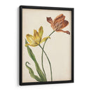 Dos Tulipanes I - Melissa Wang | Cuadro decorativo de Canvas Lab