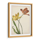 Dos Tulipanes I - Melissa Wang | Cuadro decorativo de Canvas Lab