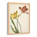 Dos Tulipanes I - Melissa Wang | Cuadro decorativo de Canvas Lab