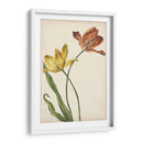 Dos Tulipanes I - Melissa Wang | Cuadro decorativo de Canvas Lab