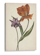 Dos Tulipanes Ii - Melissa Wang | Cuadro decorativo de Canvas Lab