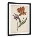 Dos Tulipanes Ii - Melissa Wang | Cuadro decorativo de Canvas Lab