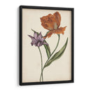 Dos Tulipanes Ii - Melissa Wang | Cuadro decorativo de Canvas Lab