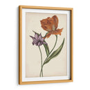Dos Tulipanes Ii - Melissa Wang | Cuadro decorativo de Canvas Lab