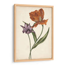 Dos Tulipanes Ii - Melissa Wang | Cuadro decorativo de Canvas Lab