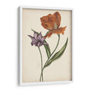 Dos Tulipanes Ii - Melissa Wang | Cuadro decorativo de Canvas Lab