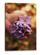 Para ti | Cuadro decorativo de Canvas Lab